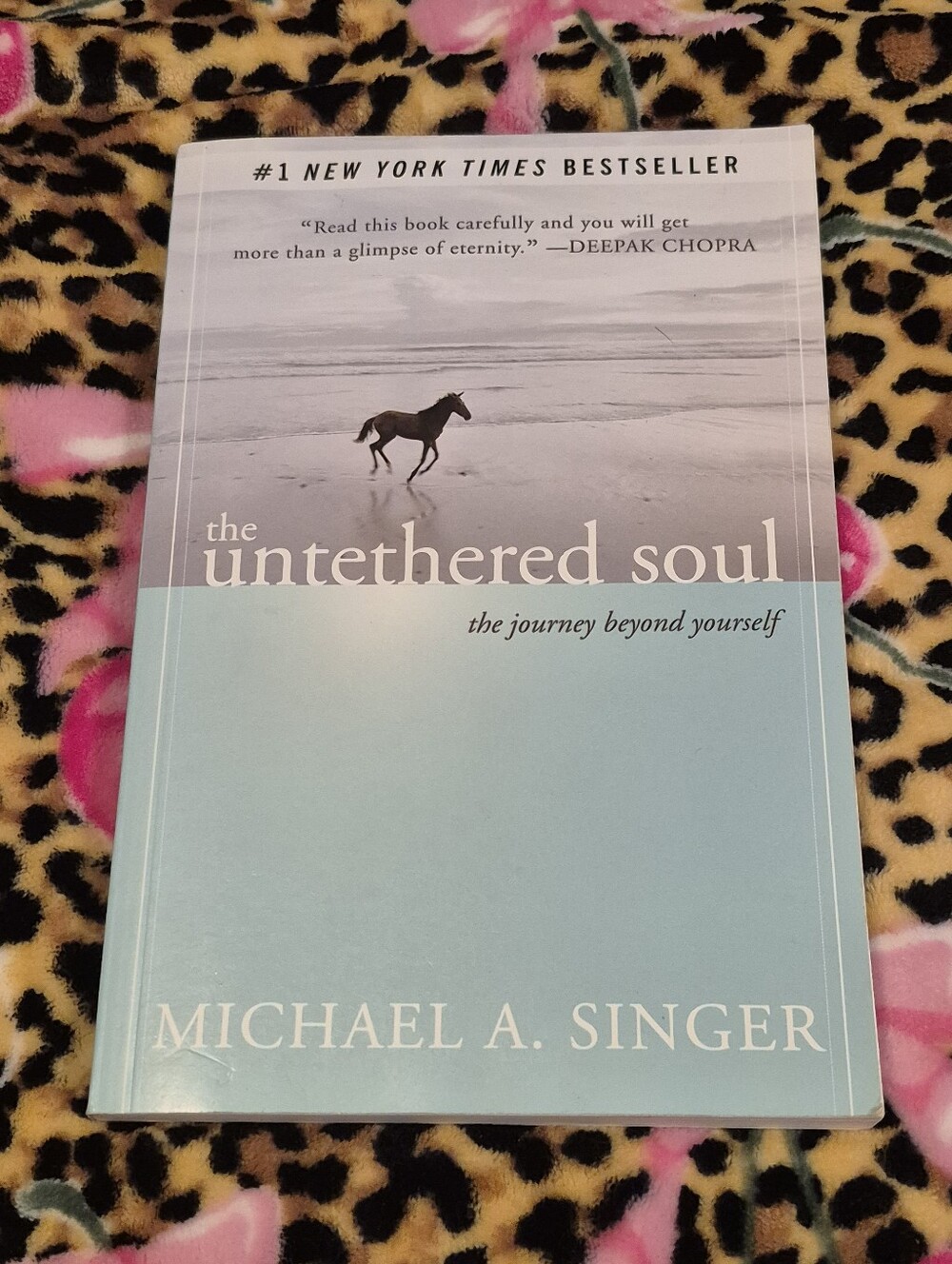 "The Untethered Soul" by Michael A. Singer Paperback Book